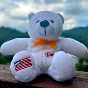 🍊Tennessee Bear ~ The Volunteer State ~USA  BY symbolz.